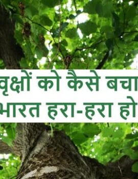 पारिजात और कल्प वृक्षों को कैसे बचाएं?