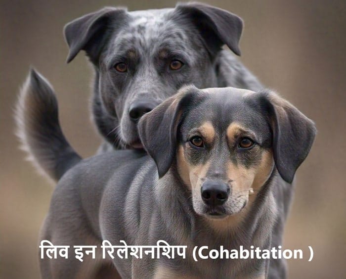 क्या आप लिव इन रिलेशनशिप (Cohabitation ) की सोच रहे है तो live in relationship समझे Live-in Relationship in India : Is it Legal Certificate