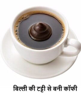 बिल्ली की टट्टी से बनी कॉफी