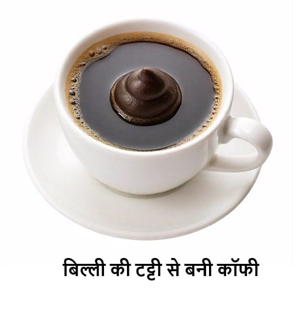 बिल्ली की टट्टी से बनी कॉफी को कोपी लुवाक या सिवेट कॉफी कहा जाता है। यह दुनिया की सबसे महंगी कॉफियों में से एक है, और कई फायदे बताए जाते हैं