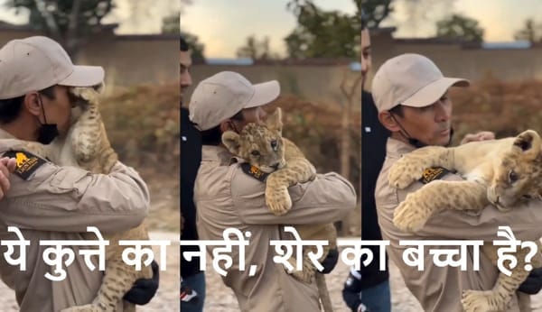 ये कुत्ते का नहीं, शेर का बच्चा है? क्या शेर बनेगा रे तू, हरकतें तो कुत्तों वाली कर रहा है। X Viral Video